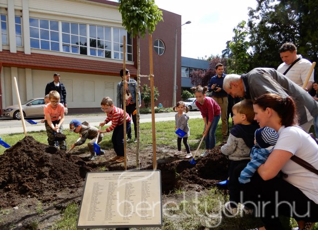 Életfát ültettünk 16